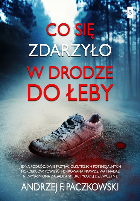 ebooki: Co się zdarzyło w drodze do Łeby – ebook