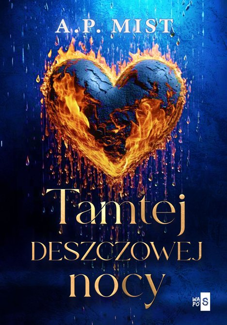 ebooki: Tamtej deszczowej nocy – ebook
