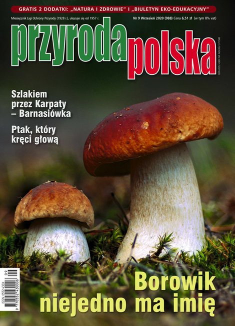 e-prasa: Przyroda Polska – e-wydanie – 9/2020