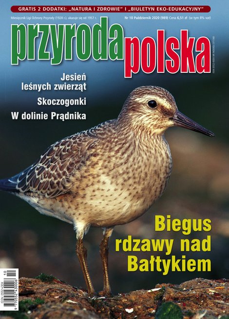 e-prasa: Przyroda Polska – e-wydanie – 10/2020