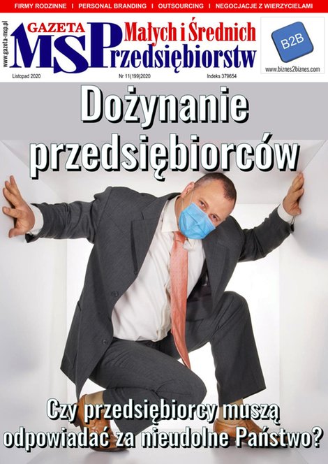 e-prasa: Gazeta Małych i Średnich Przedsiębiorstw – e-wydanie – 11/2020