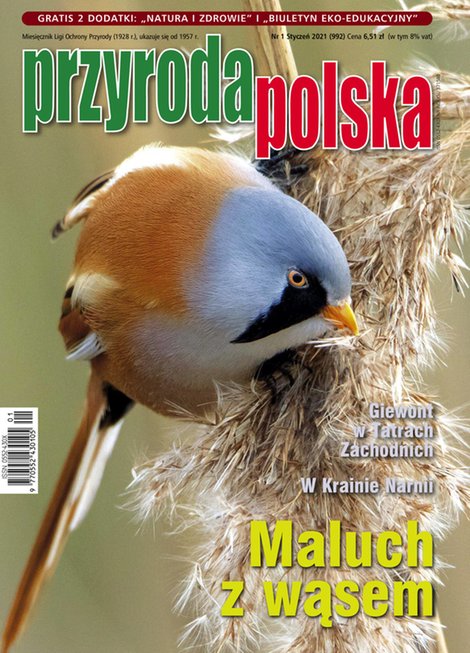 e-prasa: Przyroda Polska – e-wydanie – 1/2021