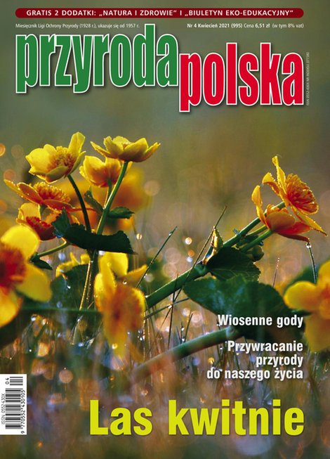 e-prasa: Przyroda Polska – e-wydanie – 4/2021