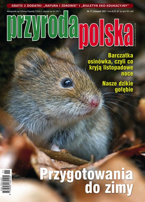 e-prasa: Przyroda Polska – e-wydanie – 11/2021