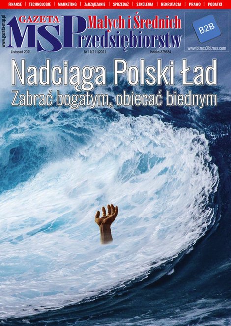 e-prasa: Gazeta Małych i Średnich Przedsiębiorstw – e-wydanie – 11/2021