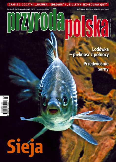 e-prasa: Przyroda Polska – e-wydanie – 3/2022