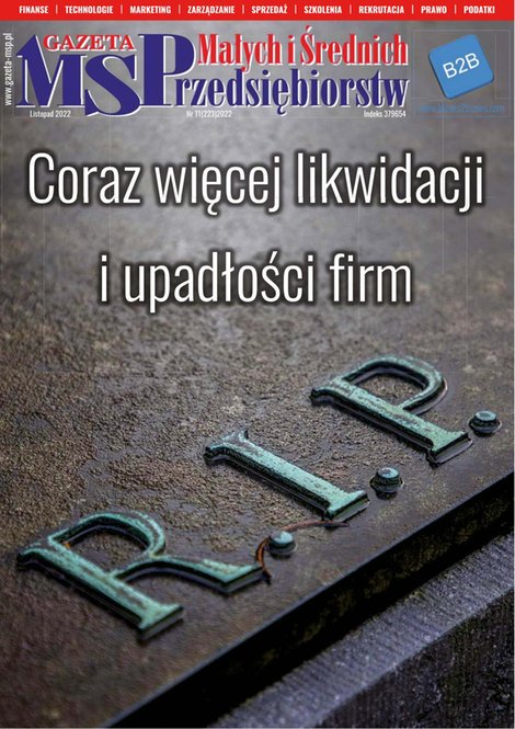 e-prasa: Gazeta Małych i Średnich Przedsiębiorstw – e-wydanie – 11/2022