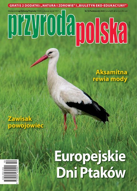e-prasa: Przyroda Polska – e-wydanie – 10/2025