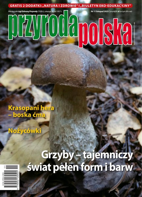 e-prasa: Przyroda Polska – e-wydanie – 11/2025
