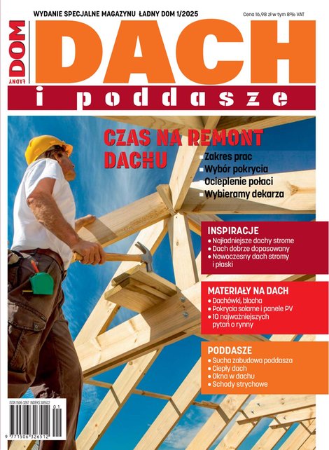 e-prasa: Ładny Dom Wydanie Specjalne – e-wydanie – 1/2025