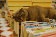 Koniec rabatów, początek nowej ery książki? Rząd szykuje ustawę, która zmieni rynek wydawniczy