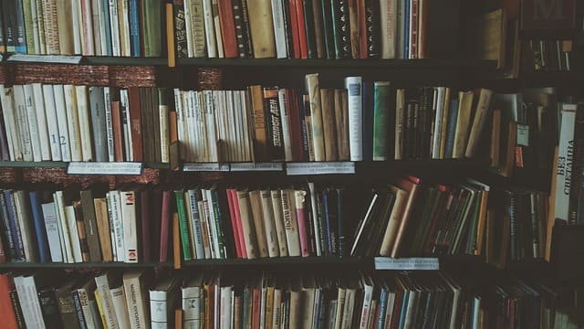Najlepsze książki fantasy - TOP 10 pozycji, które warto przeczytać